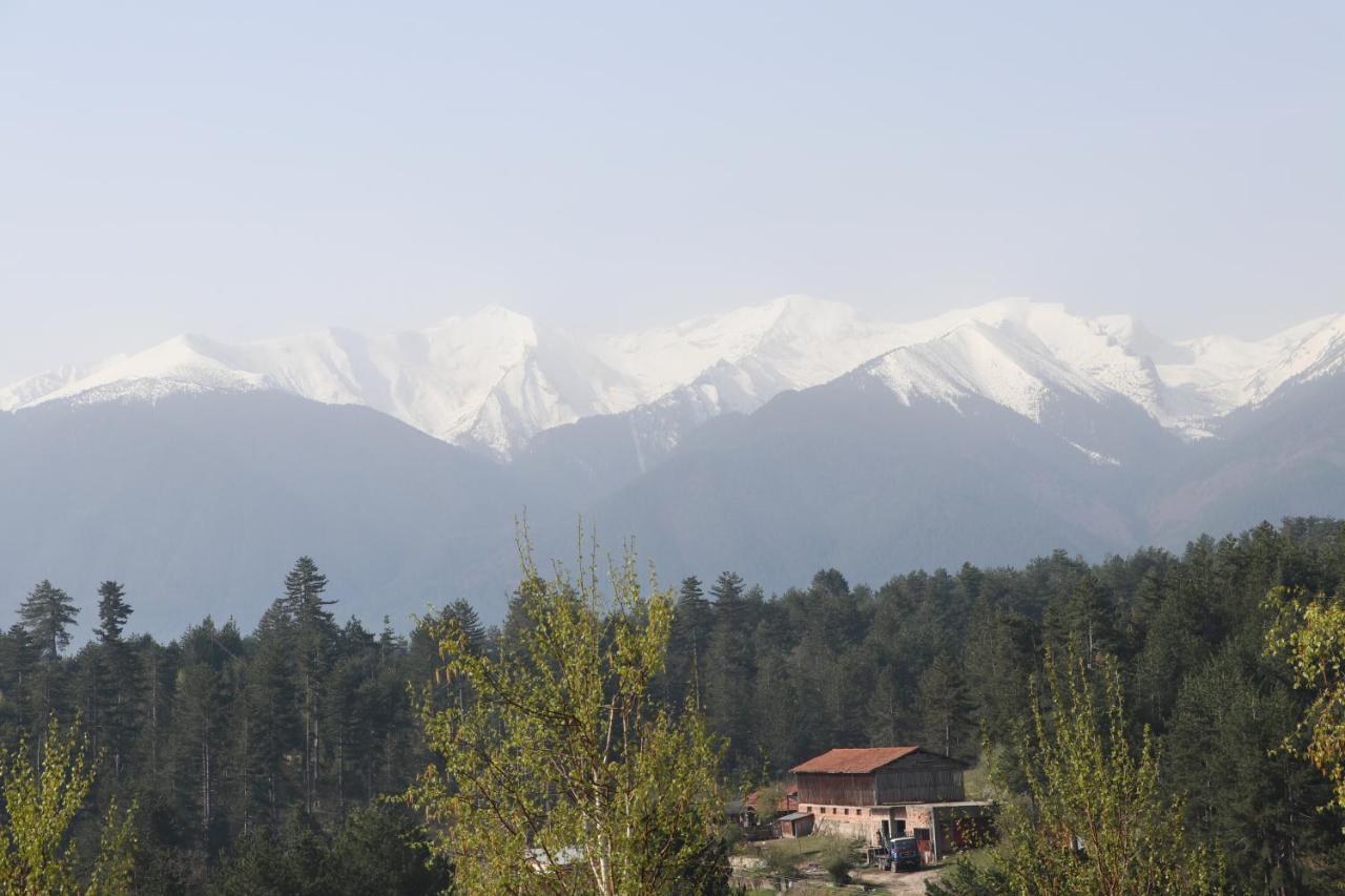 Katarino Spa Hotel Bansko Exteriör bild